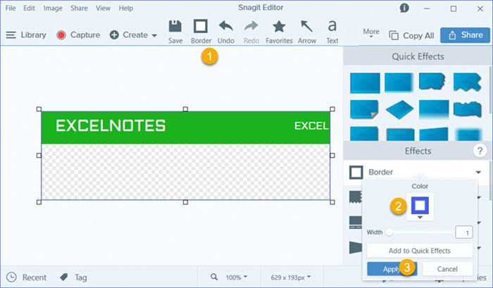 how to use snagit 2019
