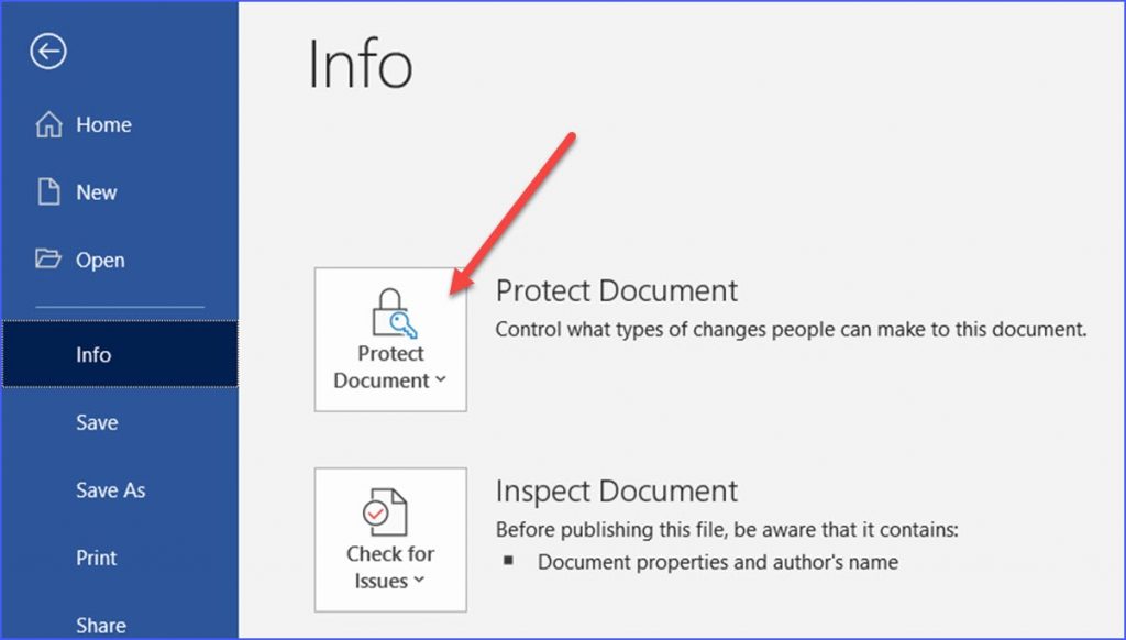 can you protect a word document from being edited with a password