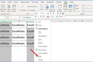 How to Hide Columns that are not Adjacent in Excel