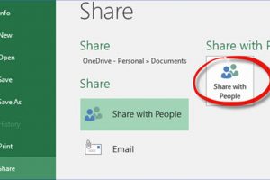 How to Share Excel with People