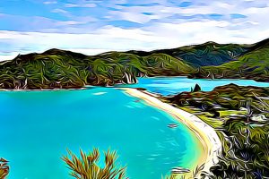 Working Days Tasman 2024