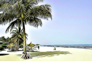 Holidays in the Gambia 2022