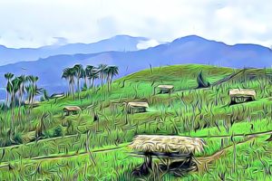 Holidays in Arunachal Pradesh 2020