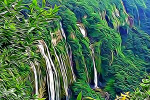 Holidays in Meghalaya 2020