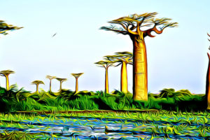 Holidays in Madagascar 2022