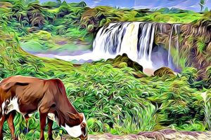 Holidays in Ethiopia 2020