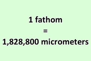 Convert Fathom to Micrometer