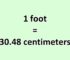 Convert Foot to Centimeter
