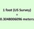 Convert Foot (US) to Meter