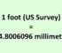 Convert Foot (US) to Millimeter