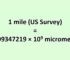 Convert Mile (US Survey) to Micrometer