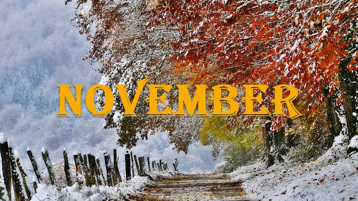 How Many Days In November 2025 ExcelNotes