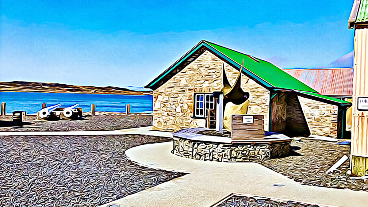 liberation-day-falkland-islands-excelnotes